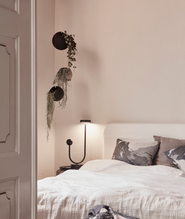 bedroom, textiles, plant pot, cozy, home
